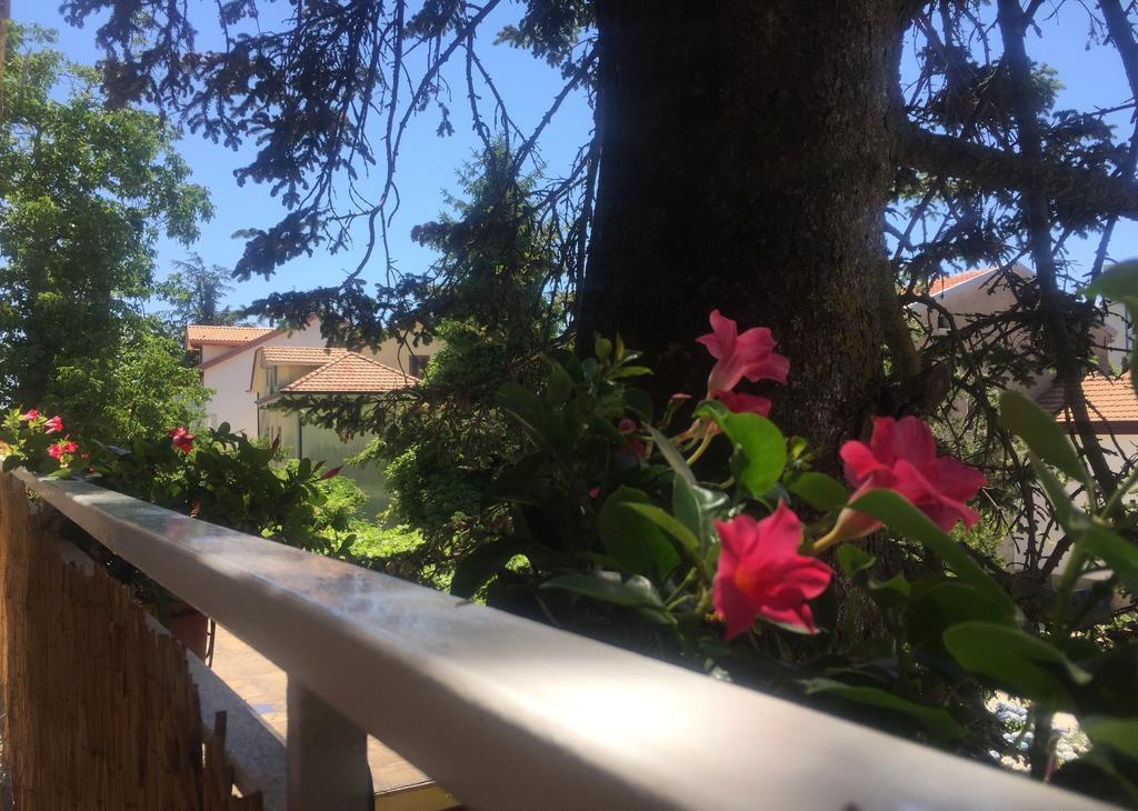 New Royal Bed & Breakfast Agerola Dış mekan fotoğraf